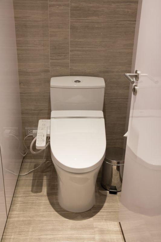 Modern Toilet Designs