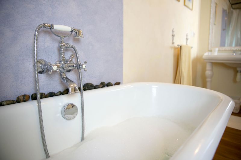 Accessible Bathing Remodel detail