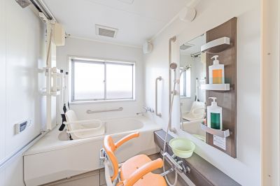 Accessible Bathing Remodel detail